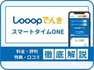 Looopでんきについて解説