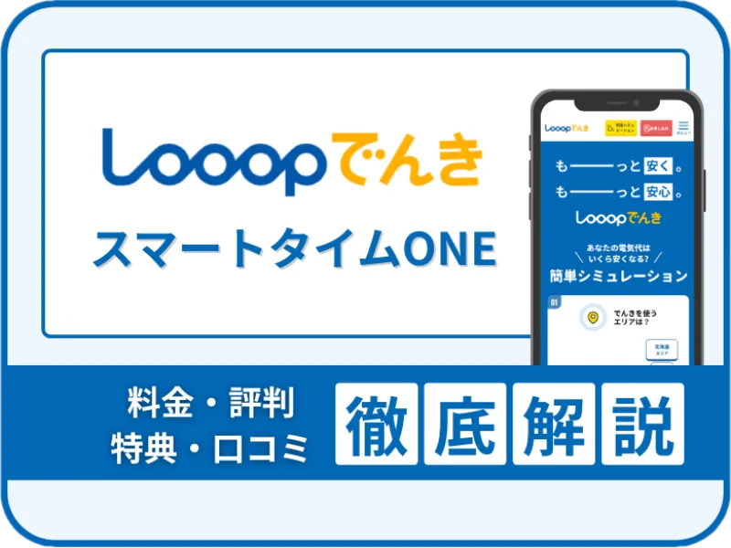 Looopでんきについて解説